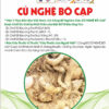 TRÀ CỦ NGHỆ BÒ CẠP ( Xay sấy khô 100g)